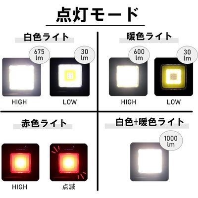 BPML-EVO LEDミニライト 1000lm ビッグマン